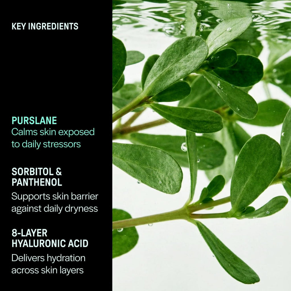 (GKT) Purslane Soothing Toner, Hydrating, Calming Toner for Sensitive Skin, with Panthenol, Purslane & Multi-Layer Hyaluronic Acid, Korean Skincare, 6.76 fl.oz.(200ml)